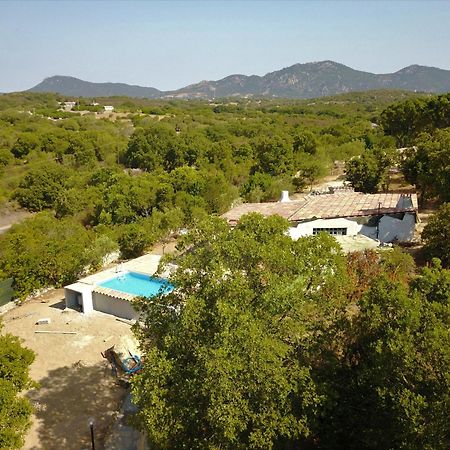 Residence Villa Smeralda Telti Exteriör bild